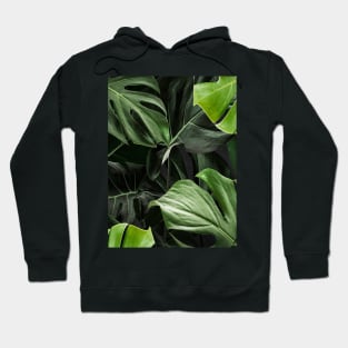 An image of a tropical monstera plant Hoodie